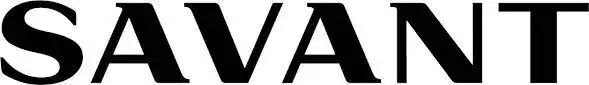 Logo Savant